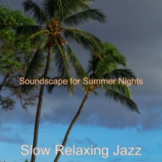 Soundscape for Summer Nights