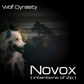 Novox (Intentions of Zip)