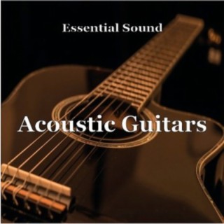 Essential Sound Acoustic Guitars
