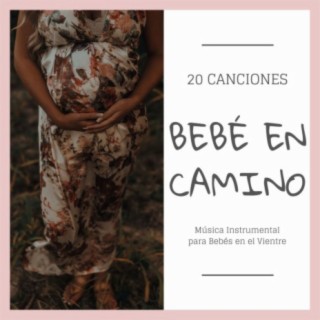 Bebé en Camino 20 Canciones: Música Instrumental para Bebés en el Vientre