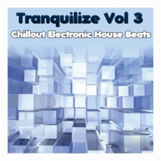 Tranquilize, Vol. 3: Chillout Electronic House Beats