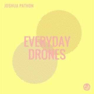 Everyday Drones