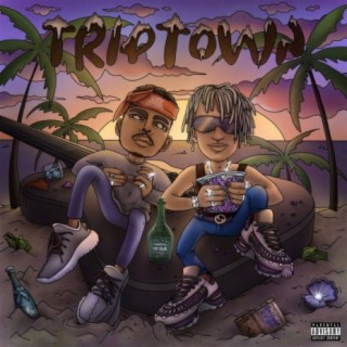 Trip Town