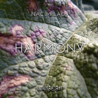 Harmony EP