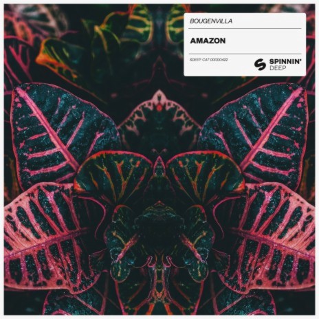 Amazon (Extended Mix) | Boomplay Music