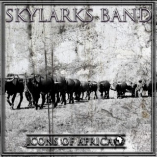 Skylarks Band