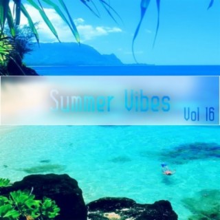 Summer Vibes Vol, 16