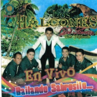 Los Halcones del Amor