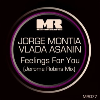 Feelings For You (Jerome Robins Remix)