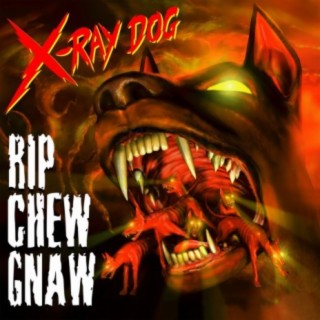 Rip Chew Gnaw