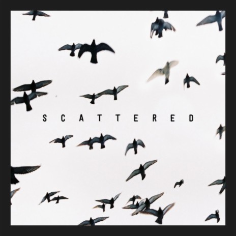 Scattered | Boomplay Music