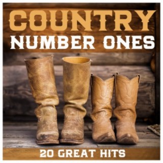 Country Number Ones - 20 Great Hits