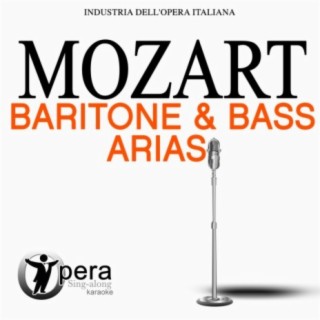 Opera Sing-Along Karaoke: Mozart - Baritone & Bass Arias