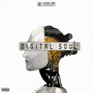 Digital Soul