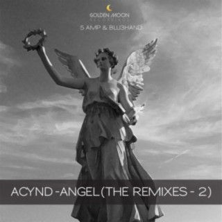 Angel (The Remixes Pt. 2)
