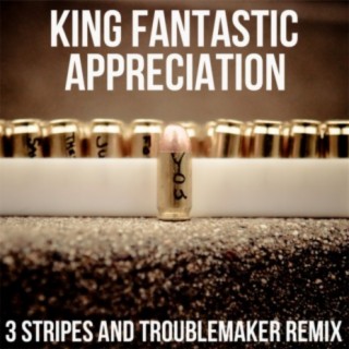 Appreciation (3 Stripes and Troublemaker Remix)