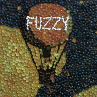 Fuzzy