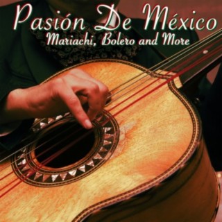 Pasión de Mexico: Traditional Mexican Mariachi, Bolero & More