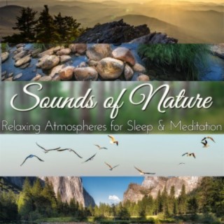 Sounds of Nature: Natural Atmospheres for Sleep & Meditation