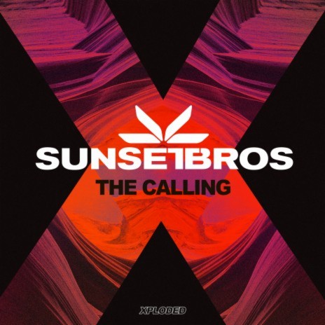 The Calling | Boomplay Music