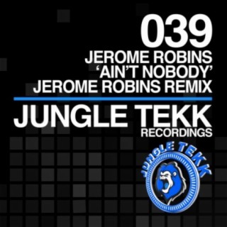 Ain't Nobody (Jerome Robins Remix)