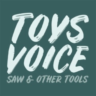 Toys Voice