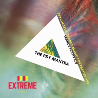 The Psy Mantra: Psychedelic Trance Music for Parties and Trance Festivals