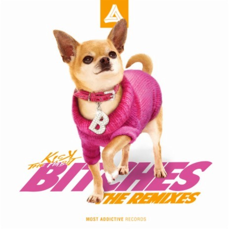 Bitches (MING Remix)