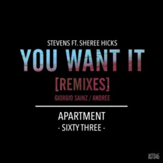 You Want It (Remixes)