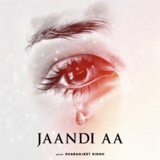 Jaandi Aa