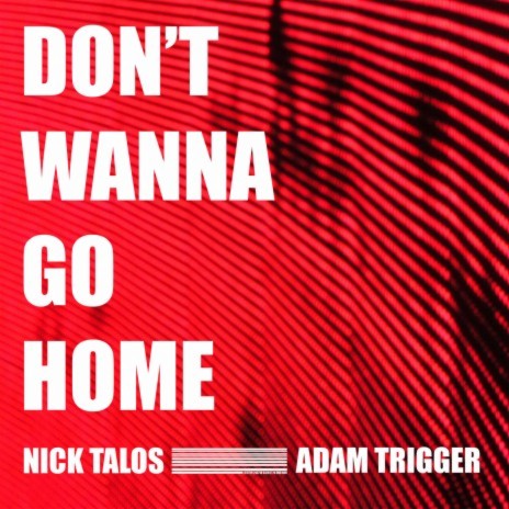 Don't Wanna Go Home ft. Adam Trigger | Boomplay Music