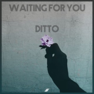 Have heard about this information of '' Ditto before ? wait a