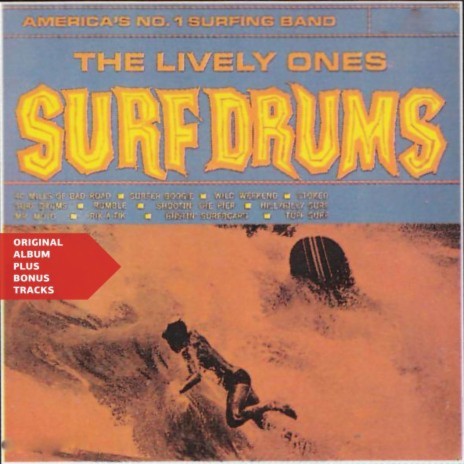 Bustin' Surfboard | Boomplay Music