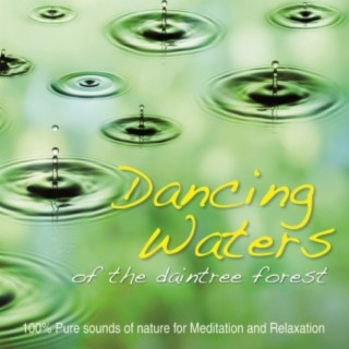Dancing Waters of the Daintree Forest