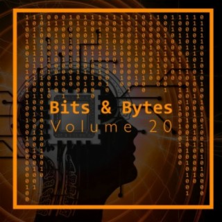 Bits & Bytes, Vol. 20