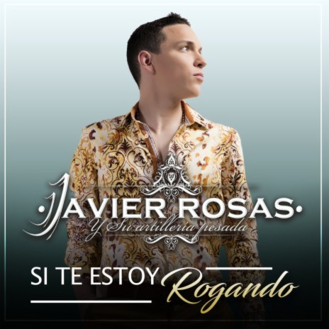 Si Te Estoy Rogando | Boomplay Music