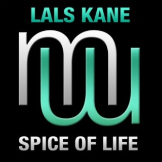 Spice of Life (Radio Edit)