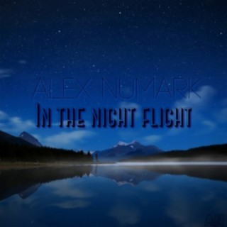 In The Night Flight