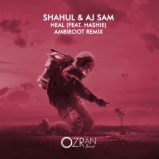 Heal (feat. Hashie) (Ambiroot Remix)