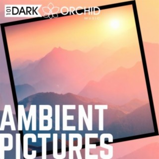 Ambient Pictures
