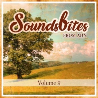 Soundsbites From ADN, Vol.9