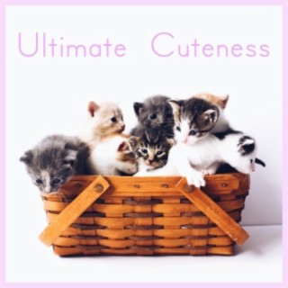 Ultimate Cuteness