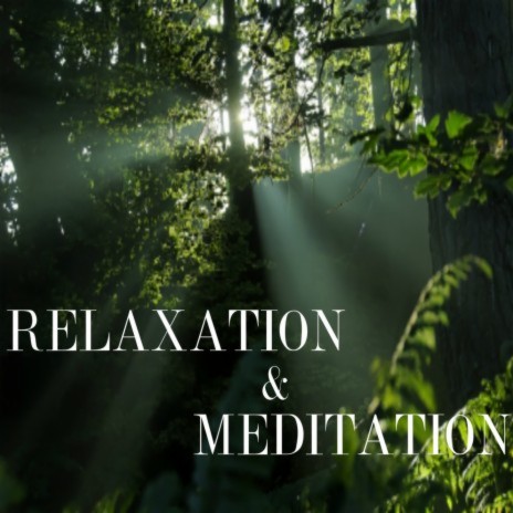 Relaxation Music | Boomplay Music