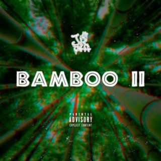 Bamboo II