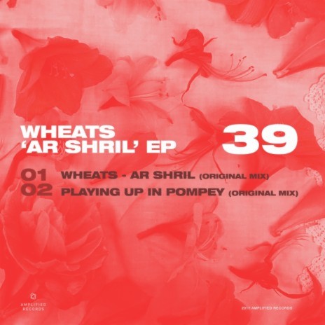 Ar Shril (Original Mix) | Boomplay Music