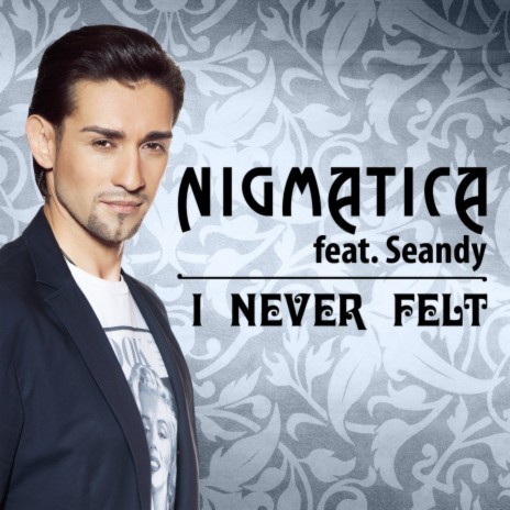 I Never Felt (feat. Seandy) [Radio Edit] | Boomplay Music