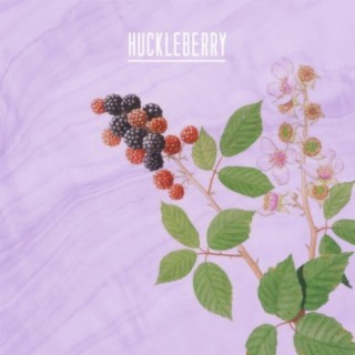 Huckleberry