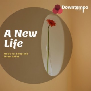 A New Life: Music for Sleep and Stress Relief
