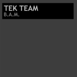 Tek Team