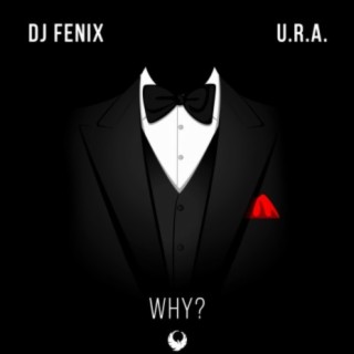Why (feat. U.R.A.)